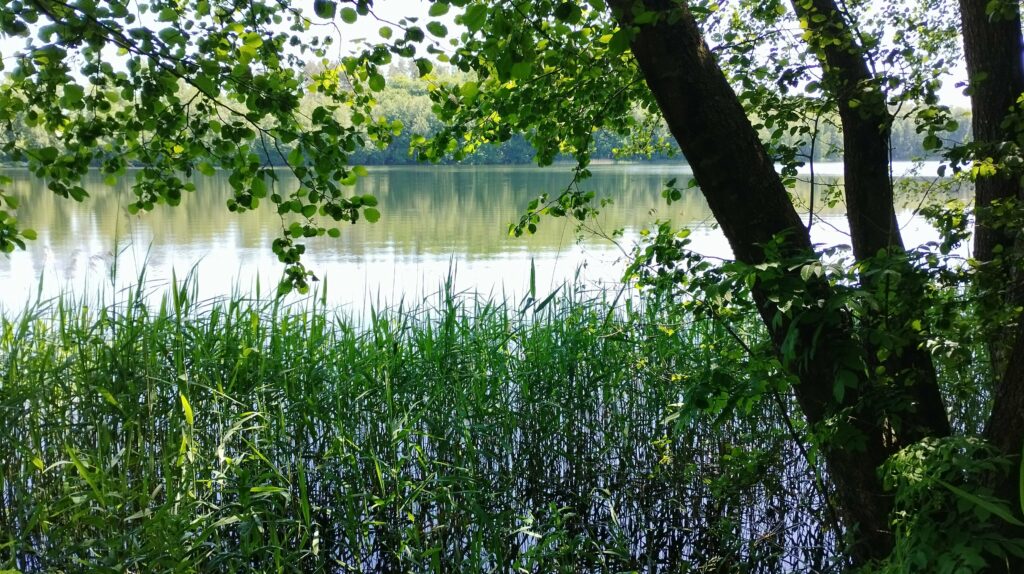 jezioro Gowidlińskie w pobliżu Bielawki domek