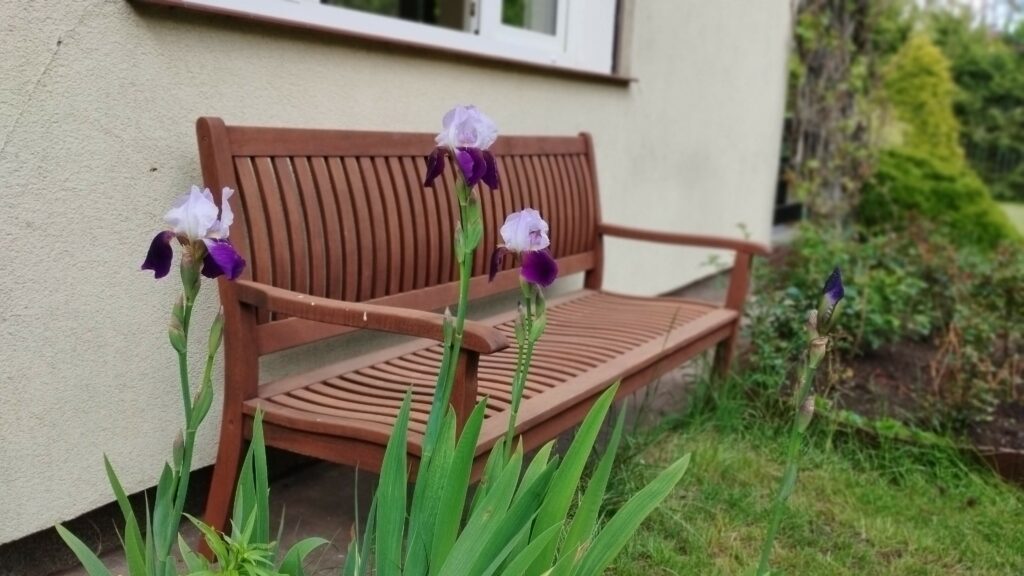 Ogród bielawkidomek.pl