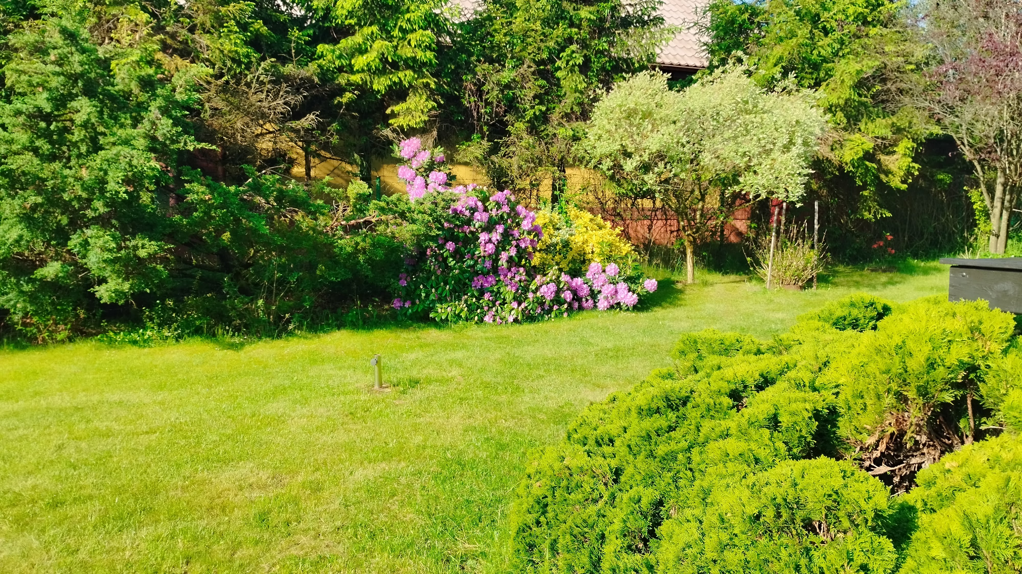 Wypoczynek w ogrodzie