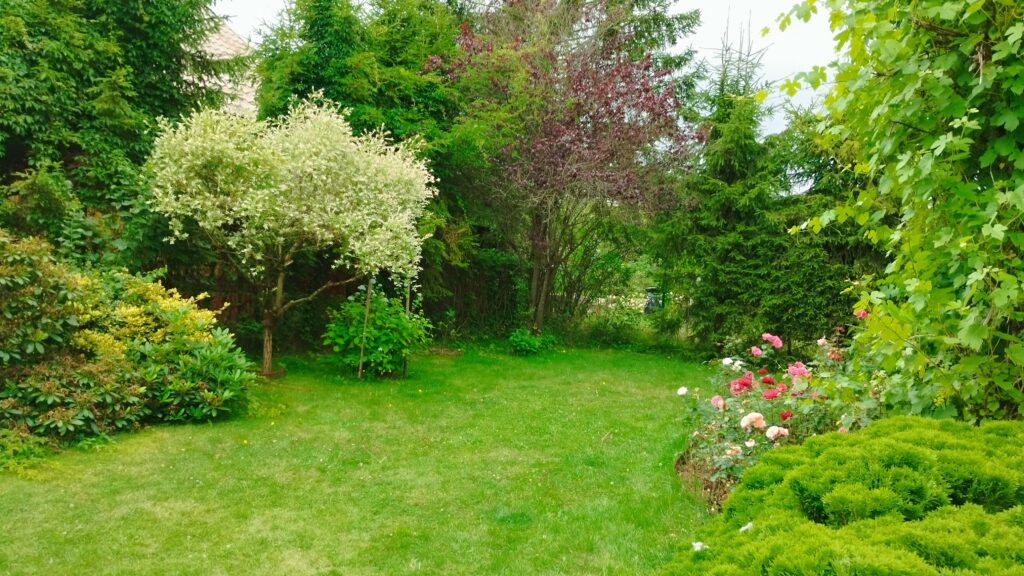 Ogród bielawkidomek.pl