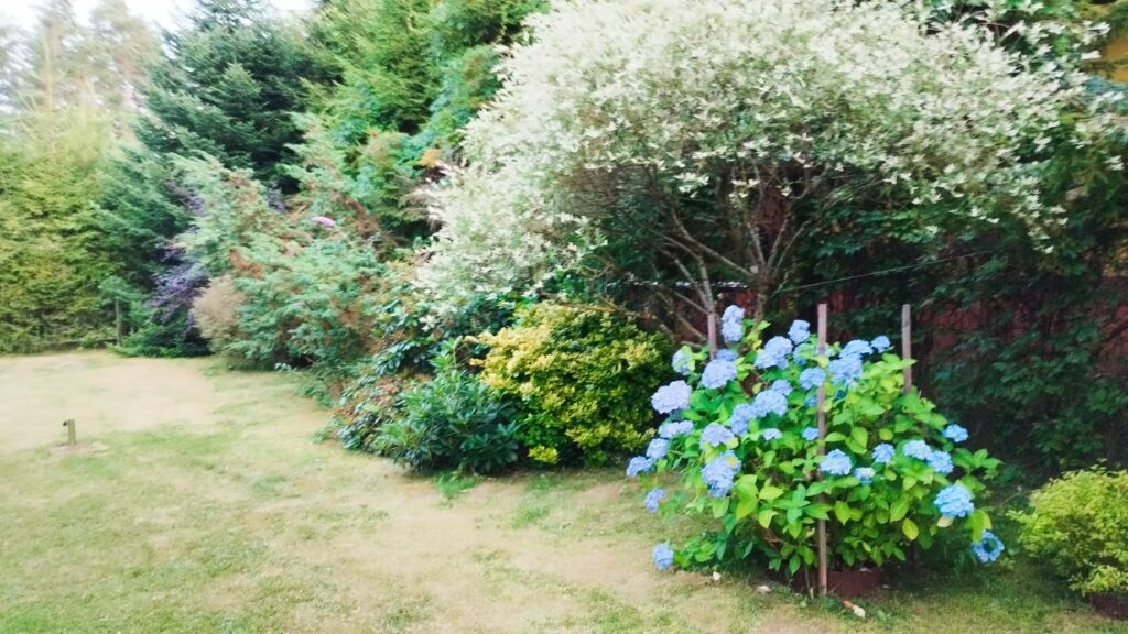 Ogród bielawkidomek.pl