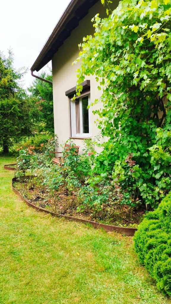 Ogród bielawkidomek.pl